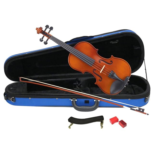 限定生産】ディスク45弁 縦置き型ディスクオルゴール | Pay ID