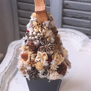木の実ツリーL　1点もの｜木の実の小さなクリスマス飾り　木の実いっぱい　冬のナチュラルインテリア　プレゼント　推し活におすすめ　