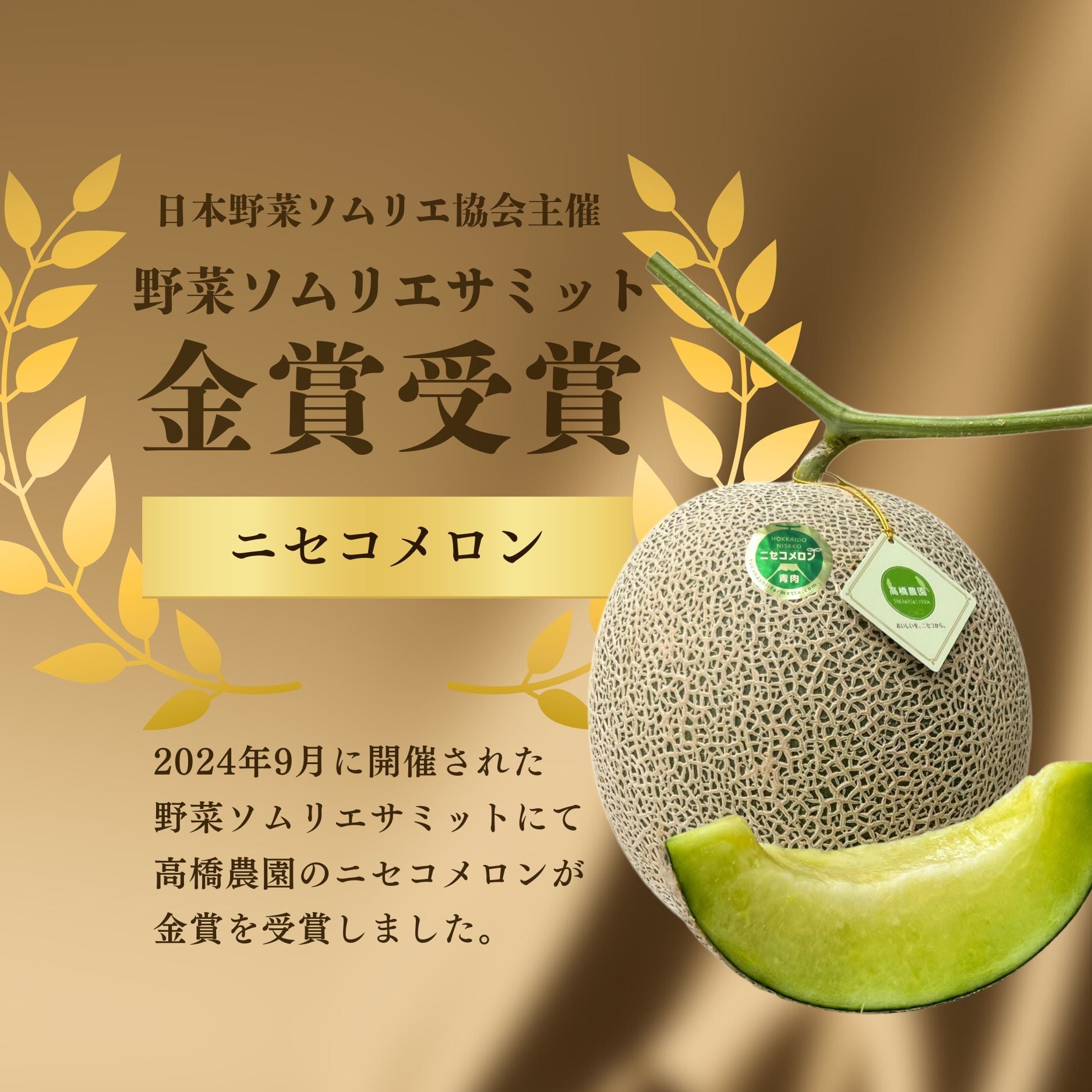 メロン4～5玉＜色指定可＞＜7月下旬～9月通常発送＞ | 北海道ニセコ町