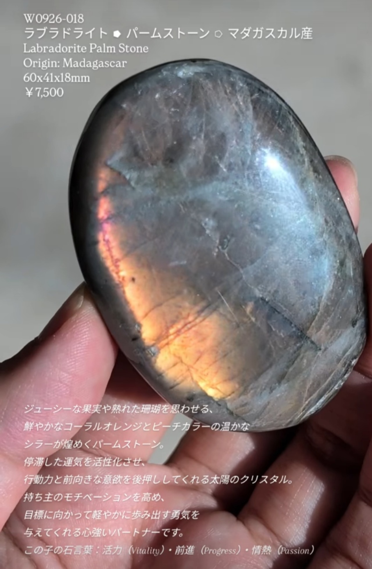 ⭔ お客様専用ページ ✦ kororu.09