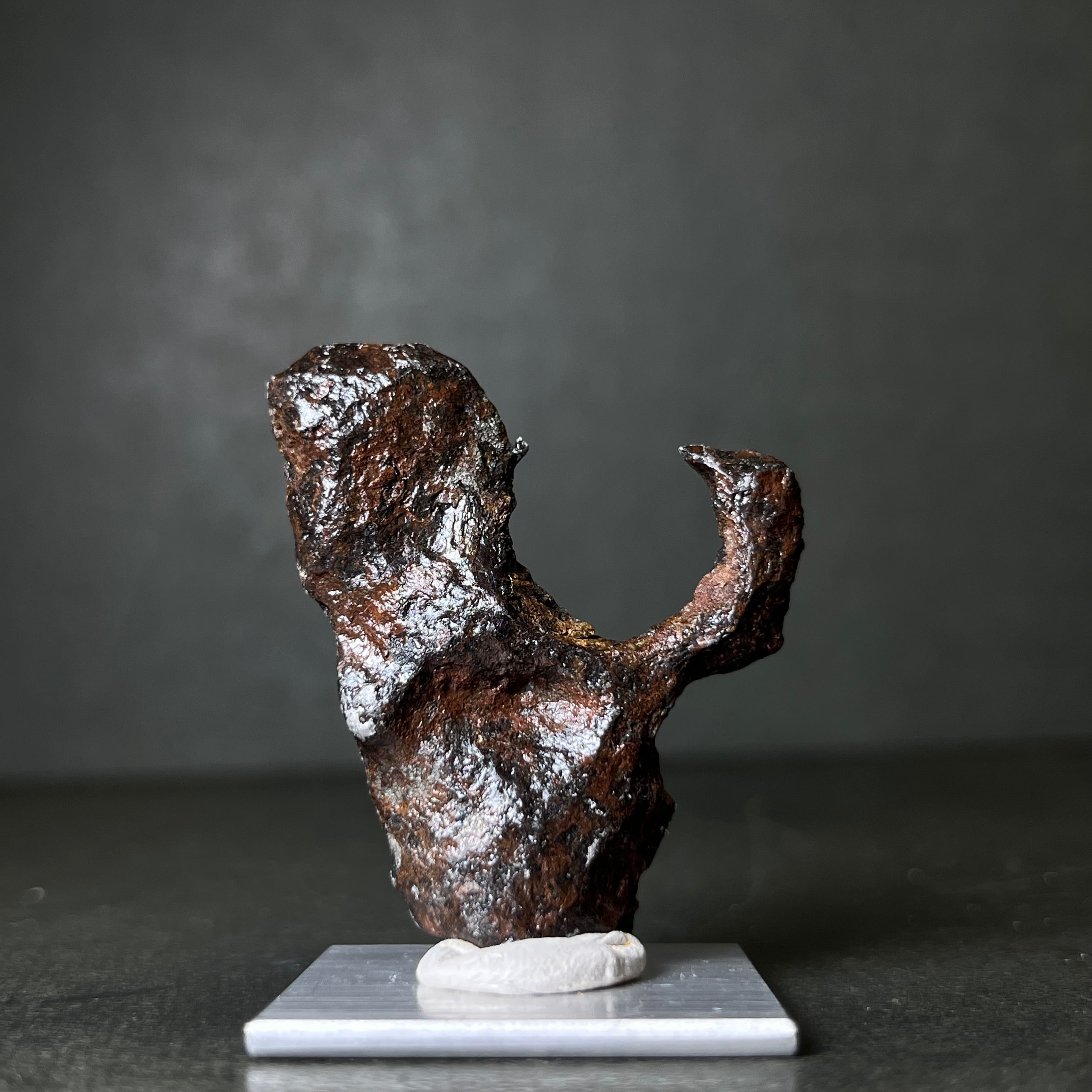 絵画】マンドラビラ隕石 Mundrabilla Meteorite 26093001 | 【隕石屋