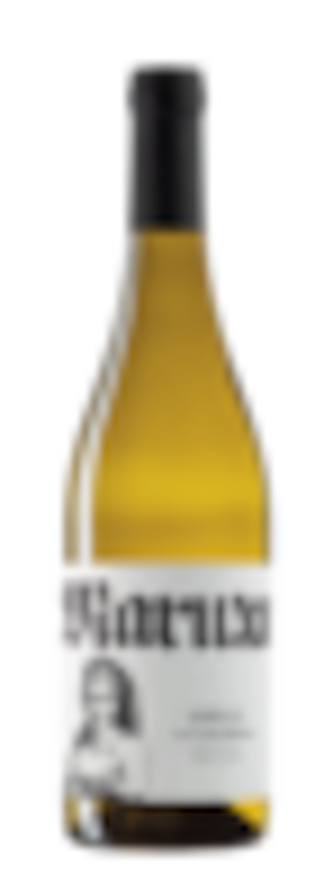マルーシャ ゴデーリョ 23 ビルヘン・デル・ガリル Maruxa Godello 23 Virgen del Galir