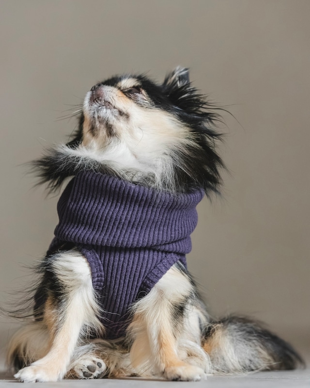 Luxury Warm リブ(パープル)