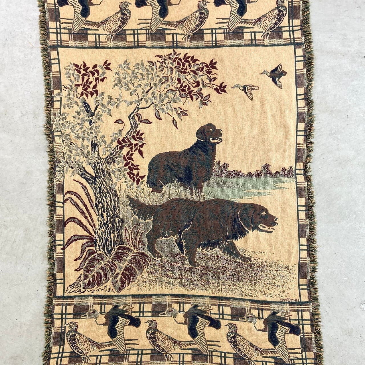 アンティーク絵画 1900年 イギリス 犬 カラー 1900年代のトイブルドッグのオリジナルヴィンテージ犬のイラスト