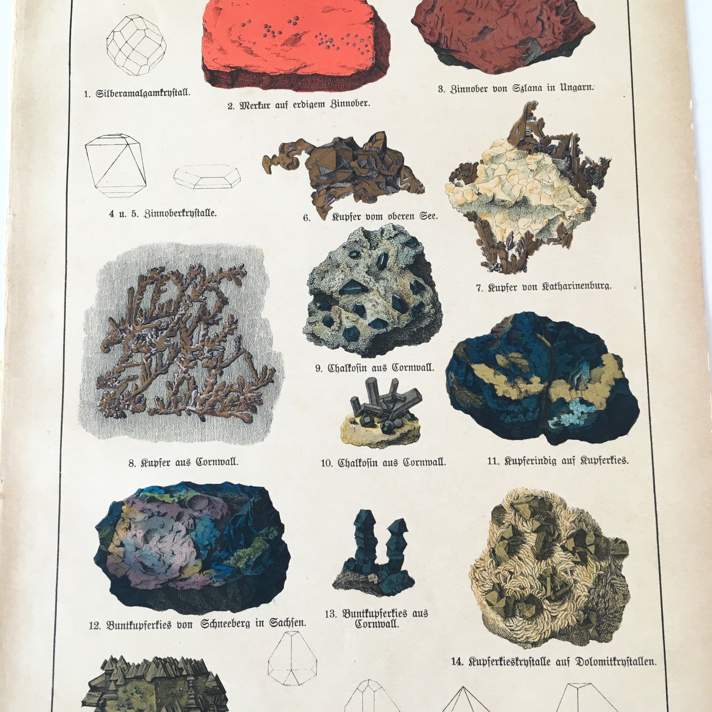 鉱物図鑑 鉱石図鑑 鉱物画 クロモリトグラフ 10年頃 宝石 ジュエリー 多色刷り石版画 図版 標本 博物画 鉱物標本 アクセサリー 欧州アンティーク雑貨 べるりんのーと 鉱物図鑑 鉱石図鑑 鉱物画 クロモリトグラフ 10年頃 宝石 ジュエリー 多色刷り石版画 図版 標本 博物画 鉱物標本 アクセサリー 欧州アンティーク雑貨 べるりんのーと