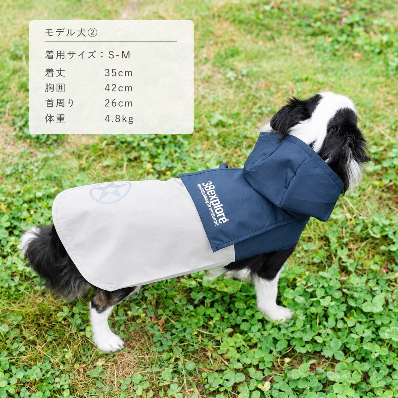 38DOG RAINCORT / NAVY