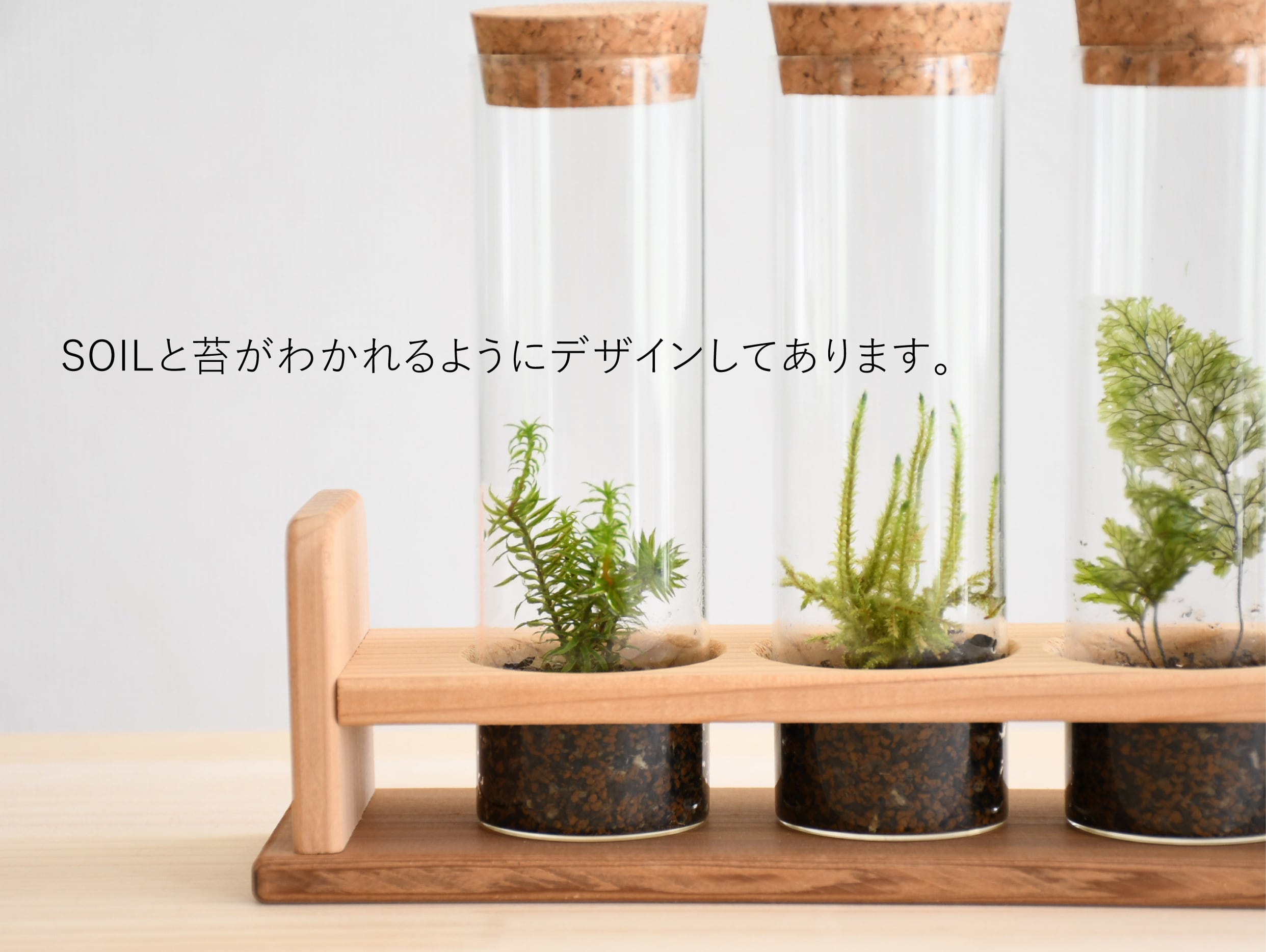 木製試験管立て 4本用 | 苔テラリウム専門ショップ道草