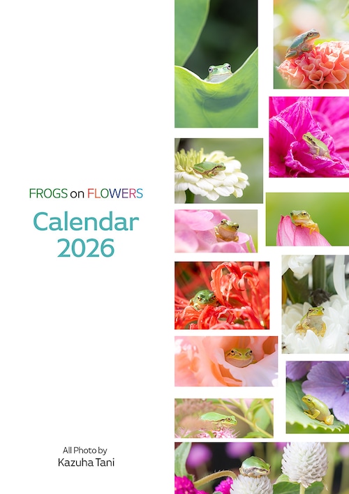 FROGS on FLOWERS Calendar 2026 壁掛け