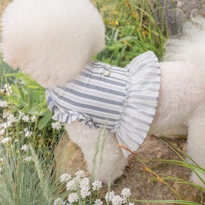 予約【pecoramou select】Bella tutu Harness