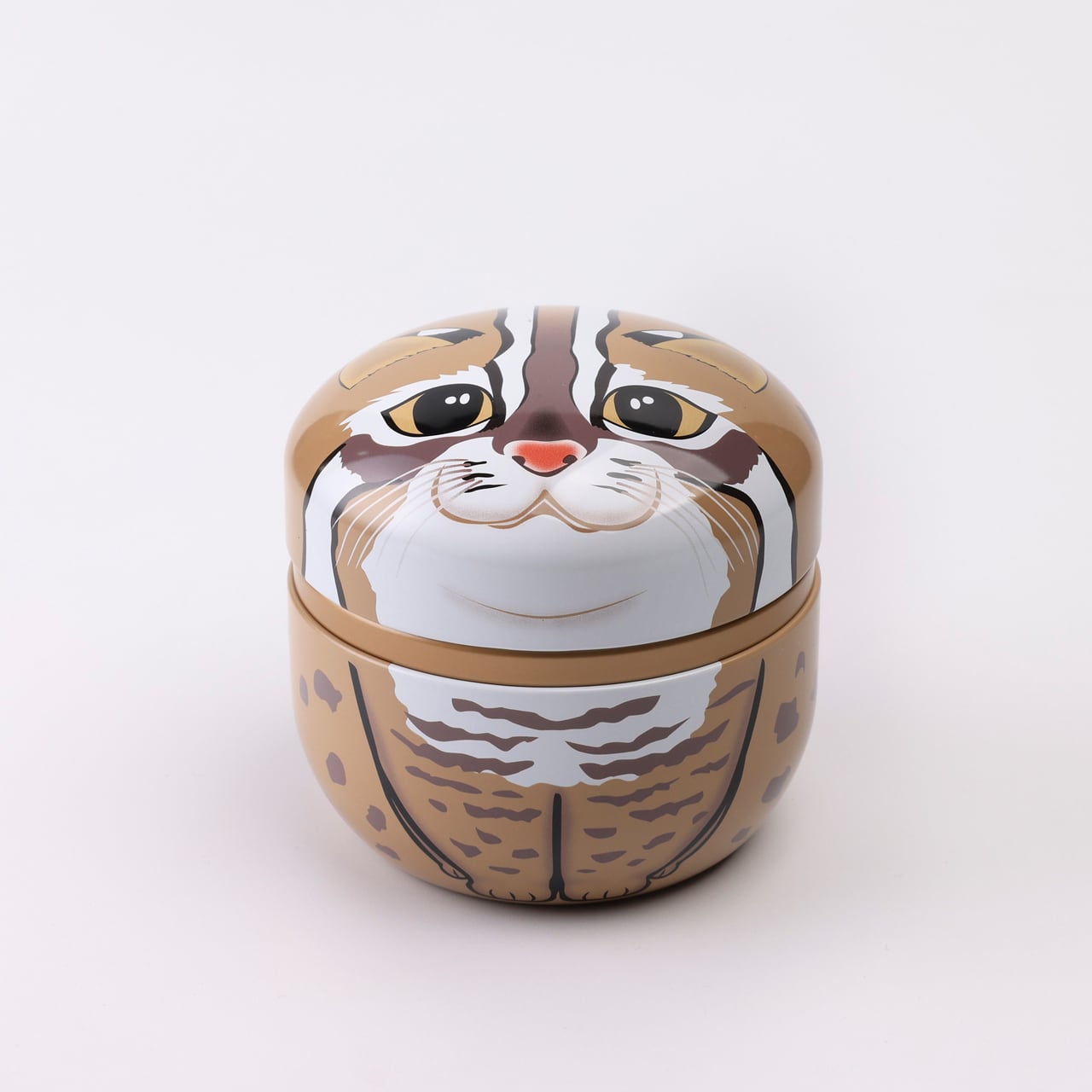 mainagamoto フテネコ 黄土色成型/茶縞 220408049.jpg