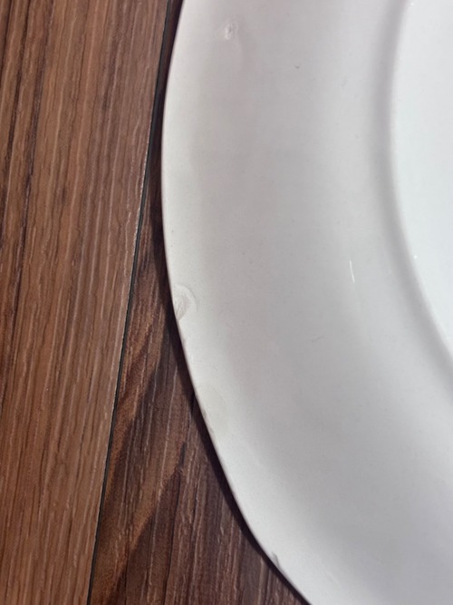【Vintage】Gefle (ｹﾞﾌﾚ)/Safari(ｻﾌｧﾘ) Plate 24cm / Sweden①