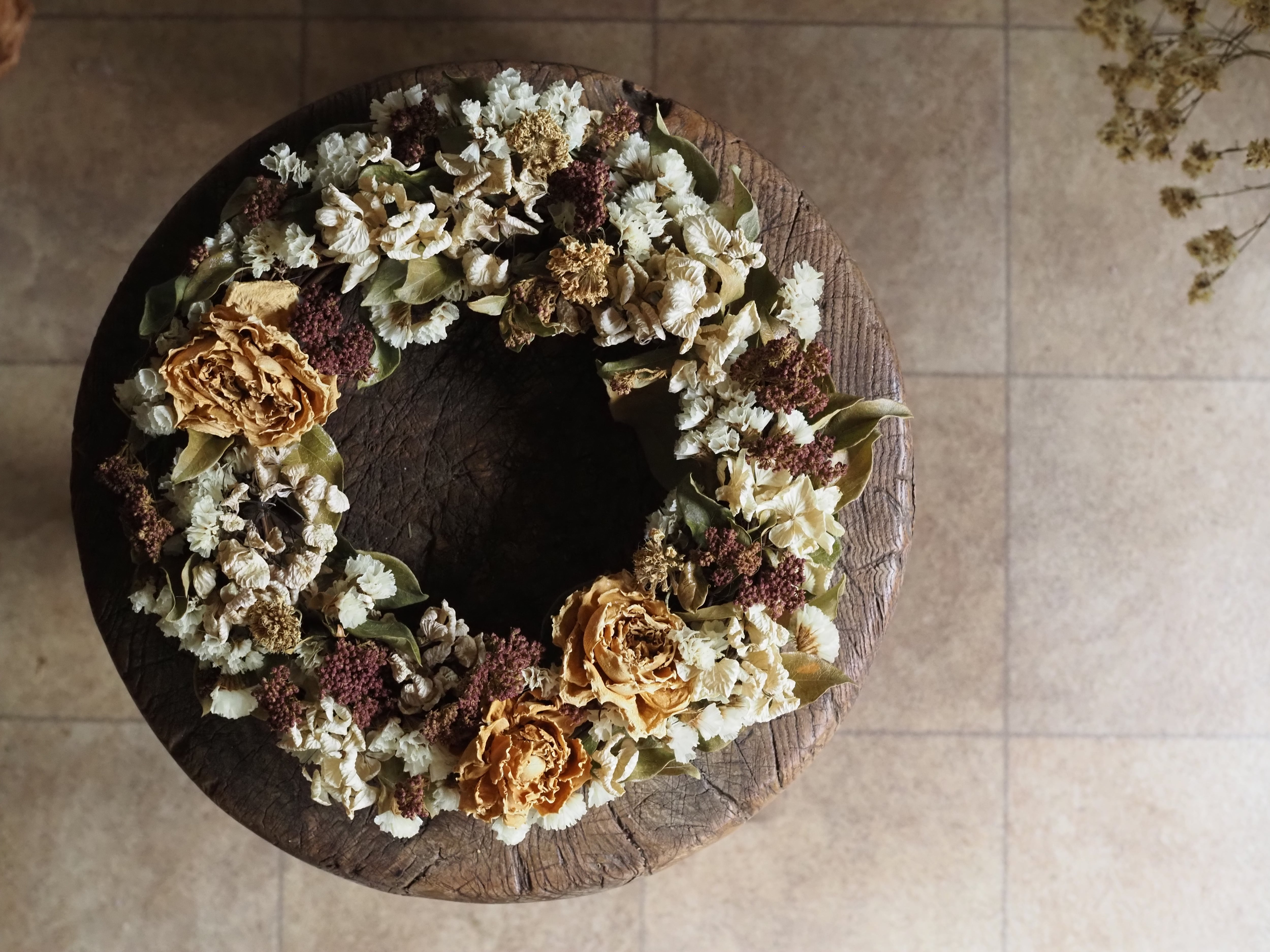 現品 ノグルミ リース ドライフラワーなど 特大苗 2.5mほど 山採り