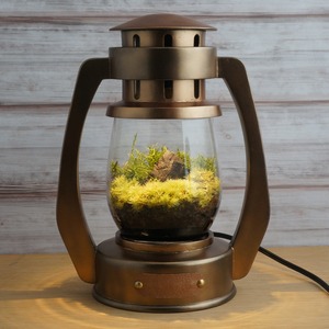 Terrarium Lantern [Antique Copper]