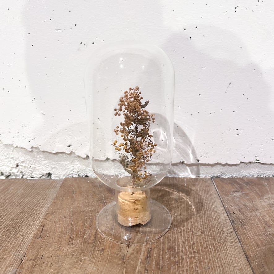 Glass Dome Object/ Mimosa | TSUKIHOSHIHI