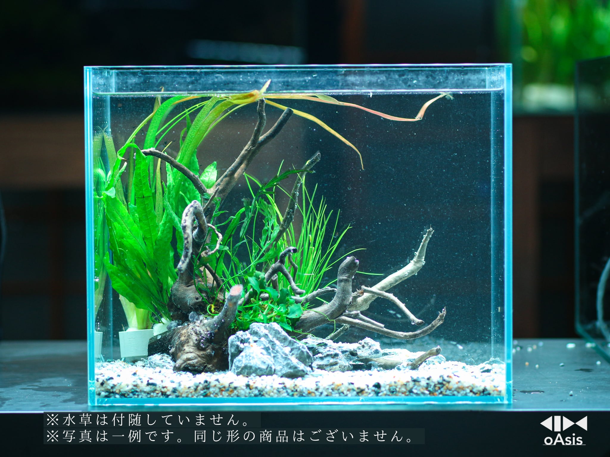 30×18×20cm水槽専用アクアリウムレイアウトベース スタンダードプラン