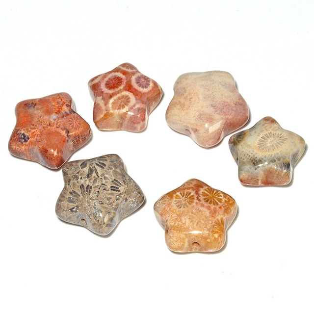 〔Z149-4〕フォッシルコーラル 星形 ビーズ 6個 粒売りFossil coral