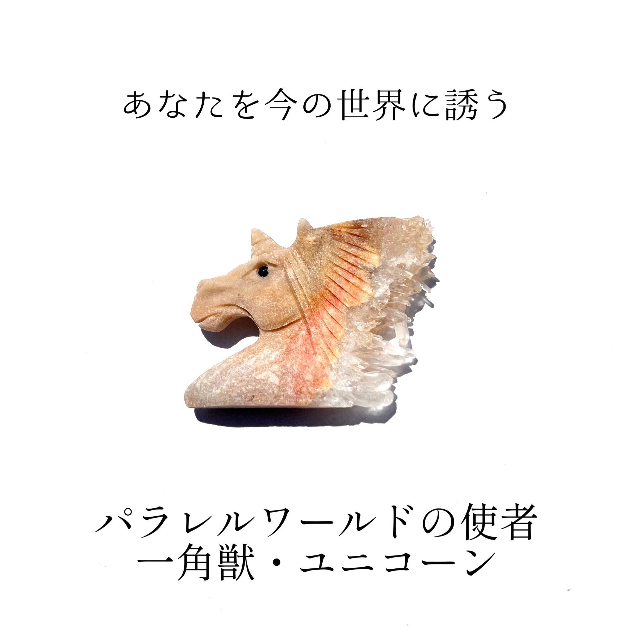 マダガスカル産海洋石6A：智慧・判断力・チャクラ活性・ネガティブな 