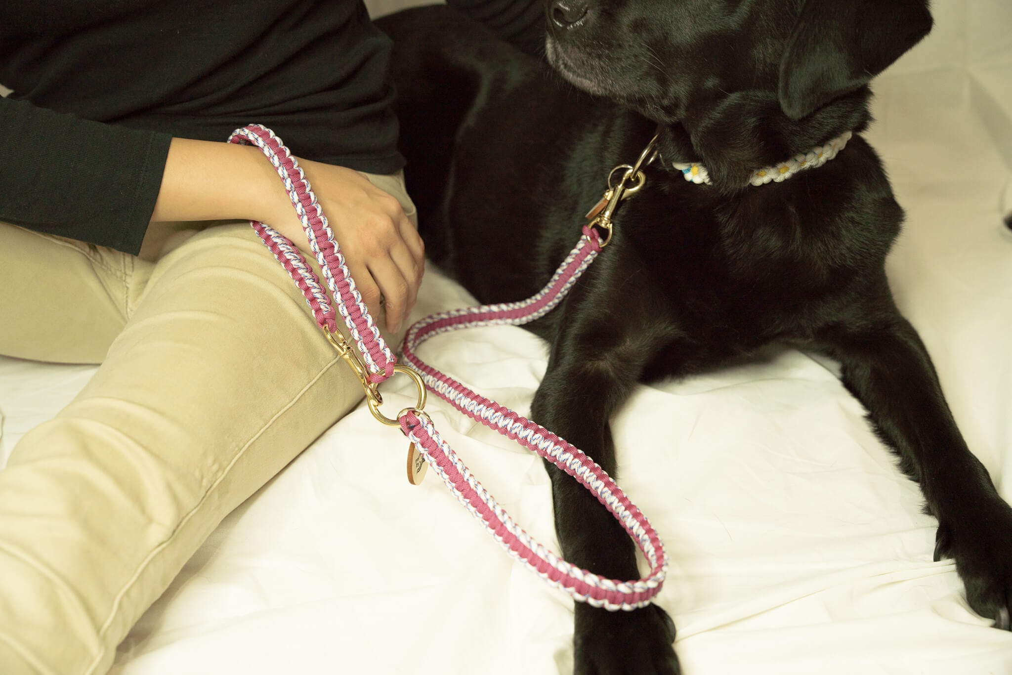 ネイビー パラコードリード | Dog.Hotdog