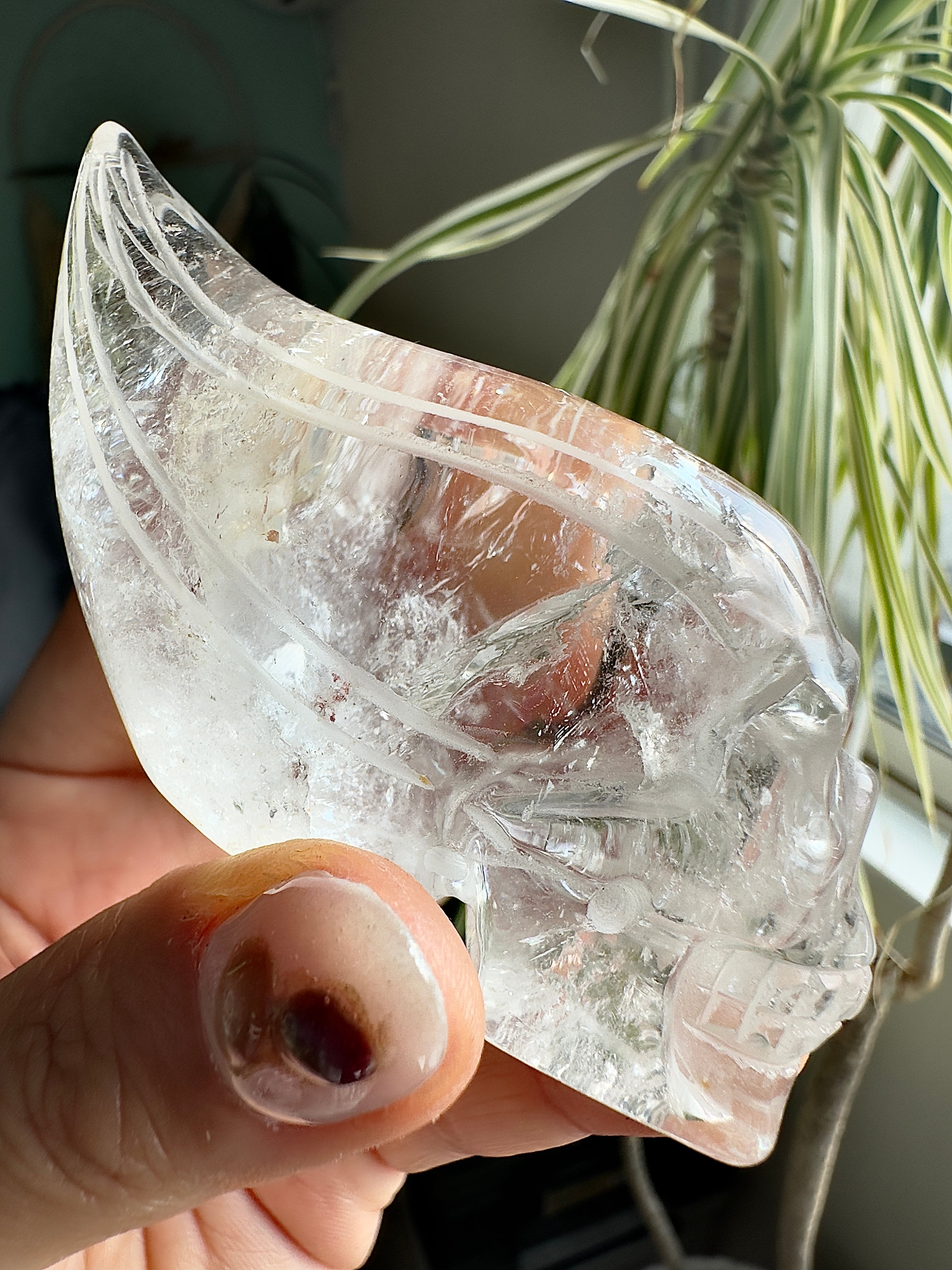 ブラジル産レムリアンシードトラベラースカル