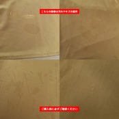 社交ダンス 衣装 ICHIOKU イチオク スカート レッスンウェア ベージュ系 無地 シンプル ダンス 練習 レッスン ダンス衣装 練習着 社交ダンス衣装 フレアスカート 華やか かわいい おしゃれ 上品 大人っぽい ロング丈 発表会 ステージ衣装