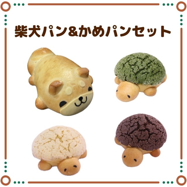 柴犬パン&かめパンセット