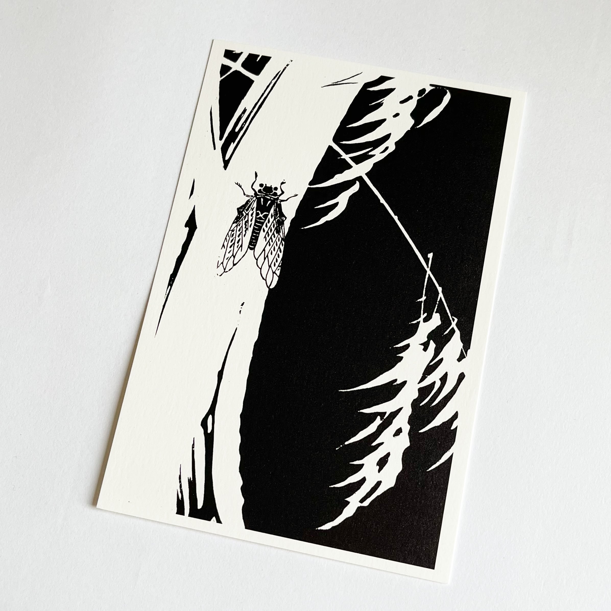 51edf5b3708e16a63282846355d233