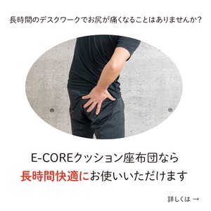 E-CORE クッション座布団【送料無料】