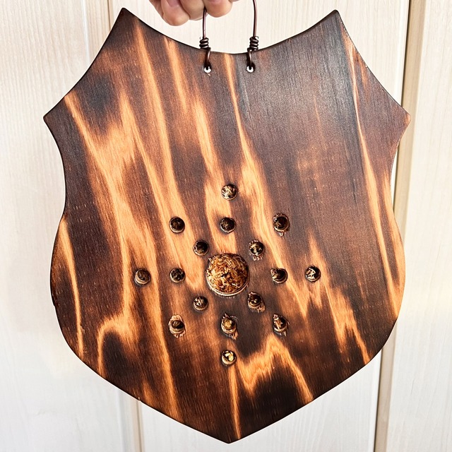 ビカクシダ ウィリンキー 板付 【観葉植物 室内 コウモリラン】