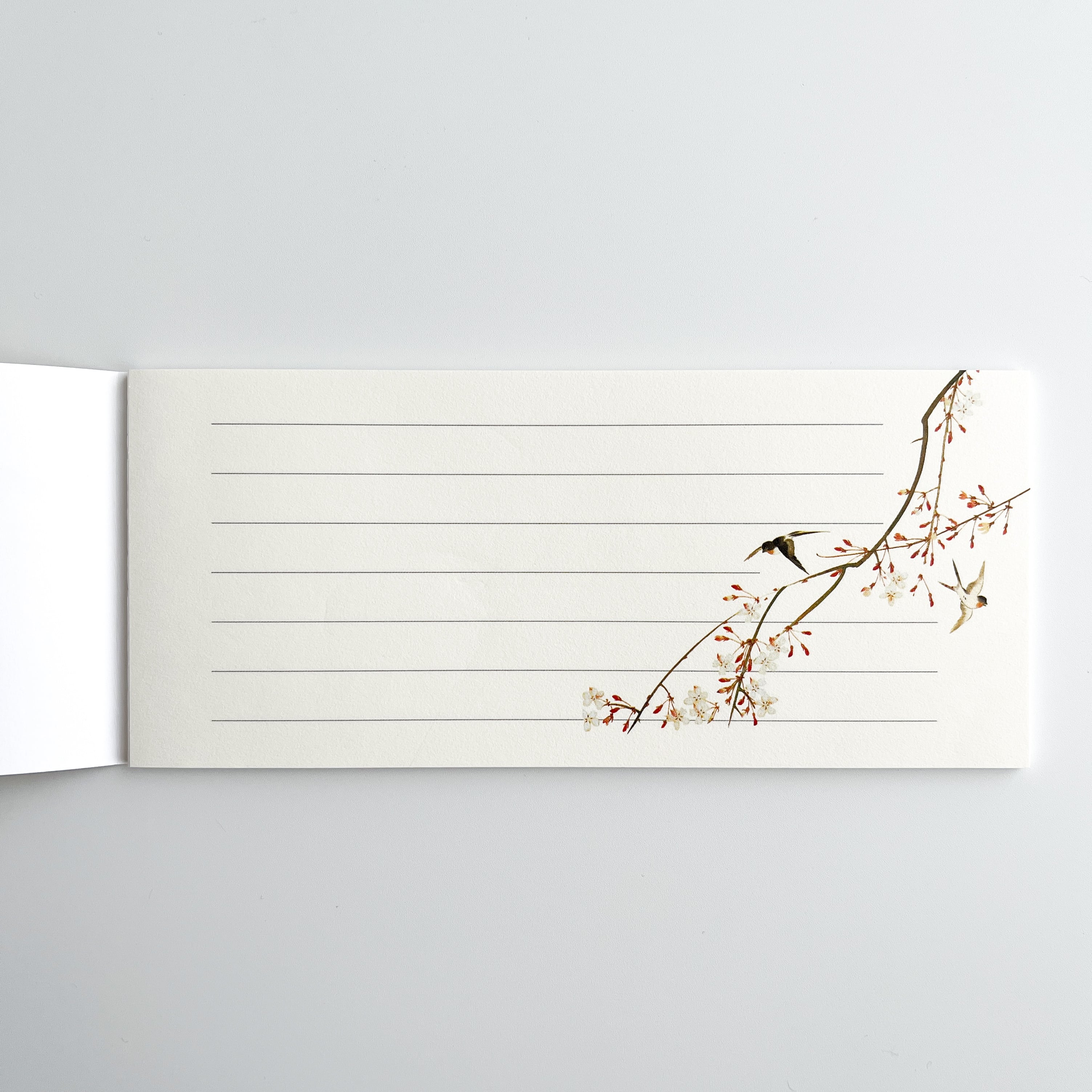 酒井抱一 一筆箋 四季花鳥図巻 | hmm, by 東京都美術館ミュージアム