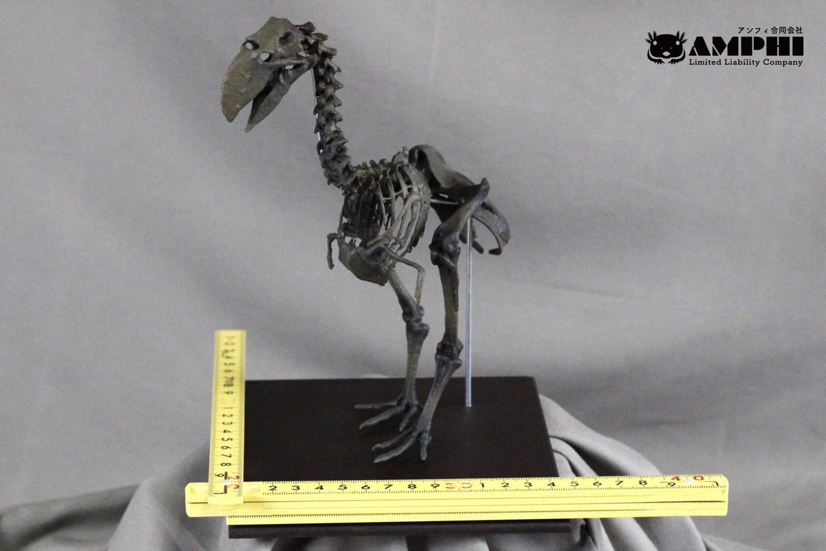 高さ20cm】 ガストルニス 縮小全身骨格レプリカ【ディアトリマ