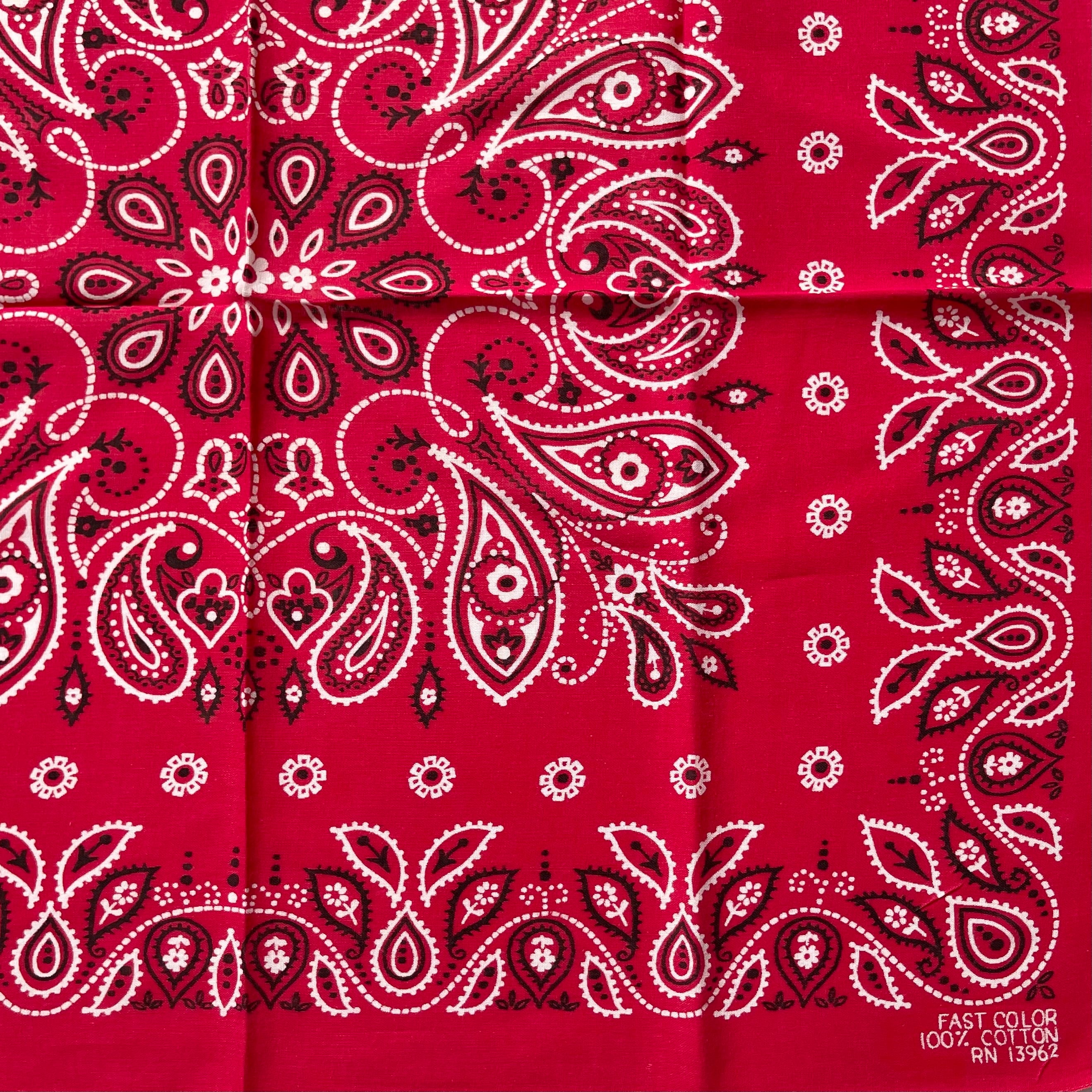 【Good】〜70s RN13962 paisley ヴィンテージ バンダナ