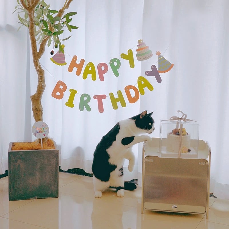 お誕生日ガーランド カラフルパーティー 猫 誕生日 飾り