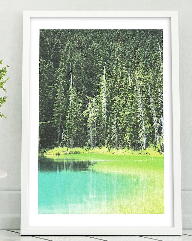 アートポスター / Lakeside forest　eb101
