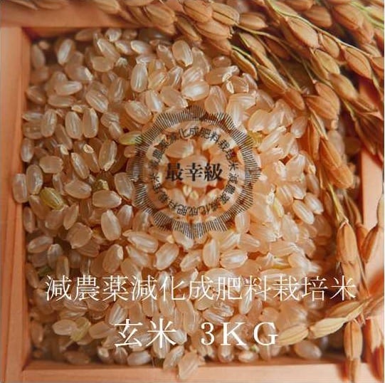 農薬不使用 〈令和8年産〉南魚沼産コシヒカリ 玄米10kg | yamamotoke-store