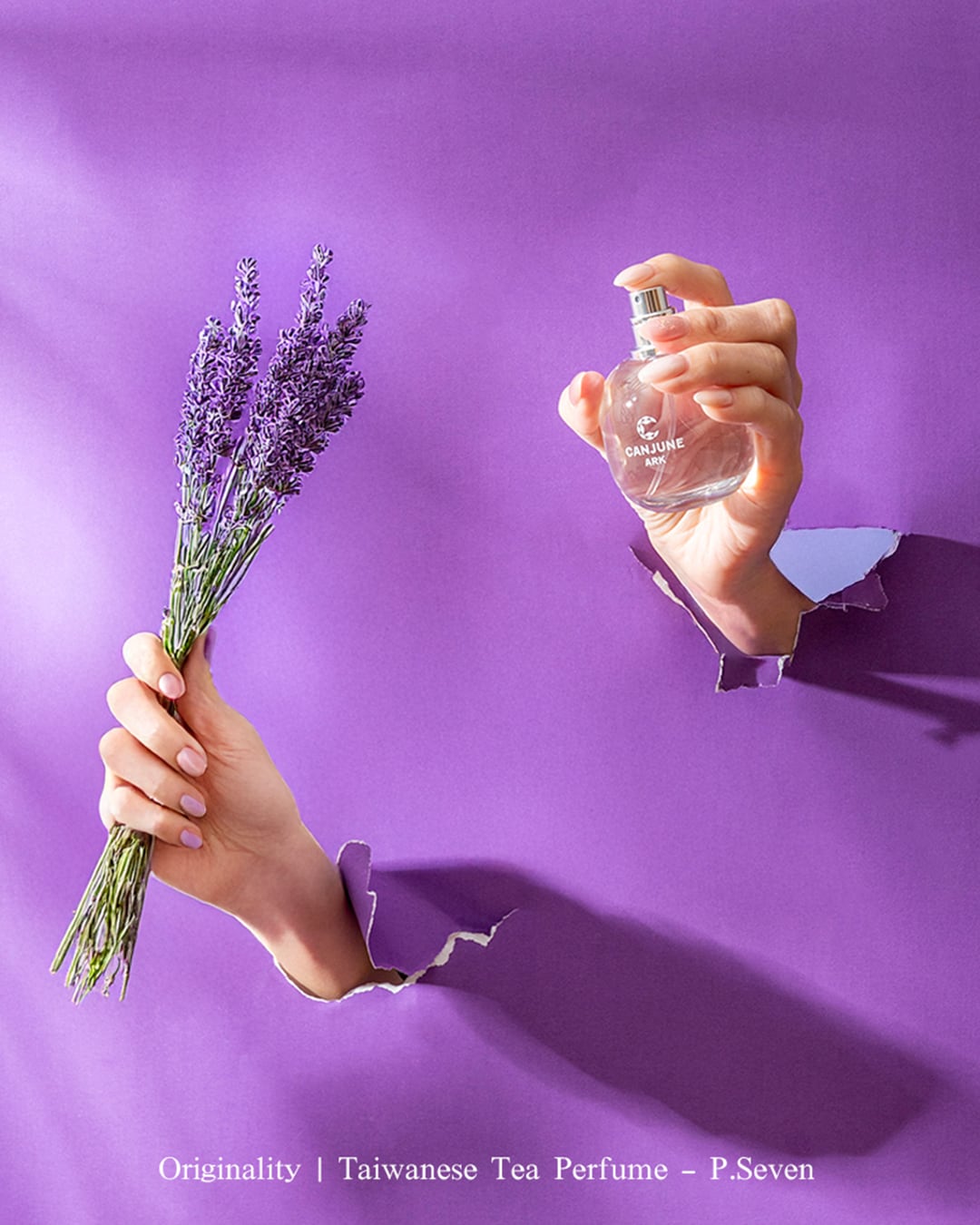 ARK アーク オードトワレ 50ml | P.Seven茶香水