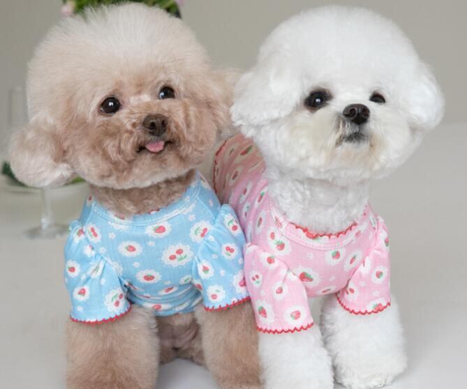 《予約》1102158 いちご&さくらんぼインナートップス