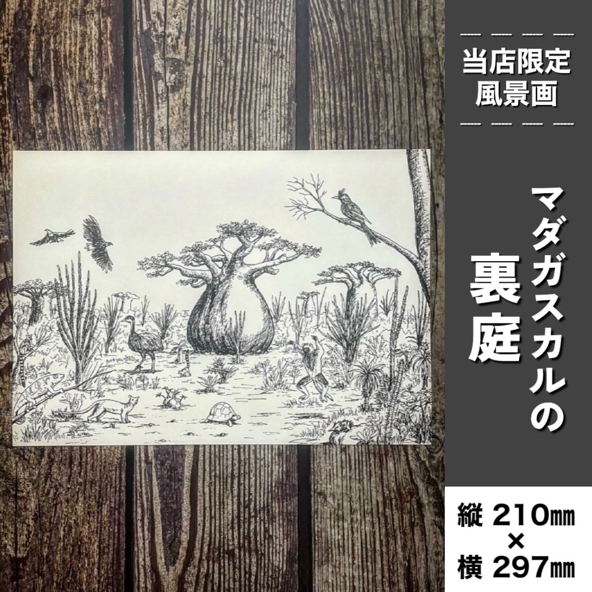 地球を感じるグラキリス】複製原画 | BOKUTO