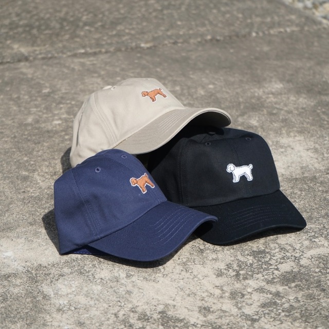 Logo Cap : navy