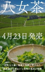 〈4月23日 発売〉　2024　新茶　八女茶　80g