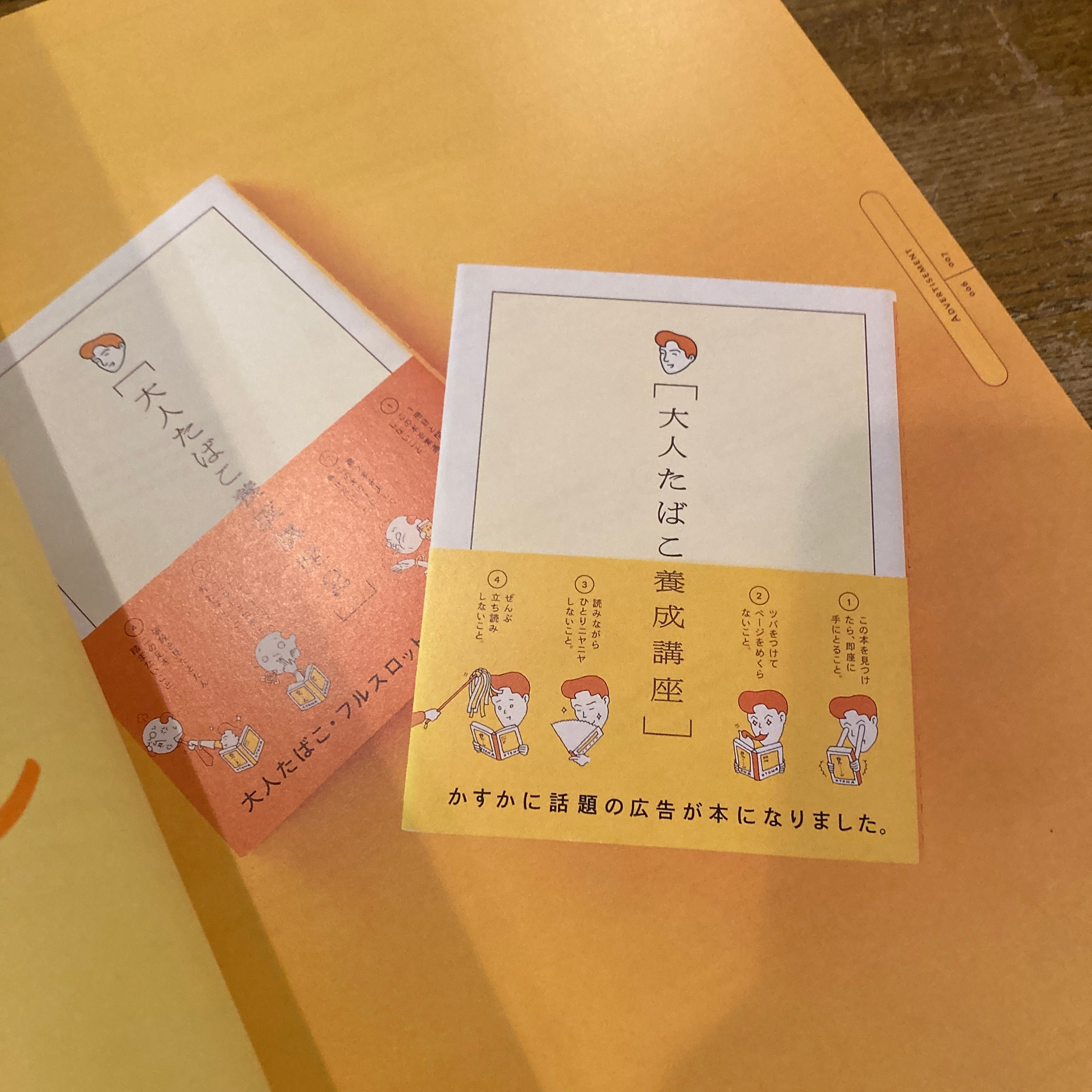 アイデア 347 2011.7 寄藤文平の庭 | 百年