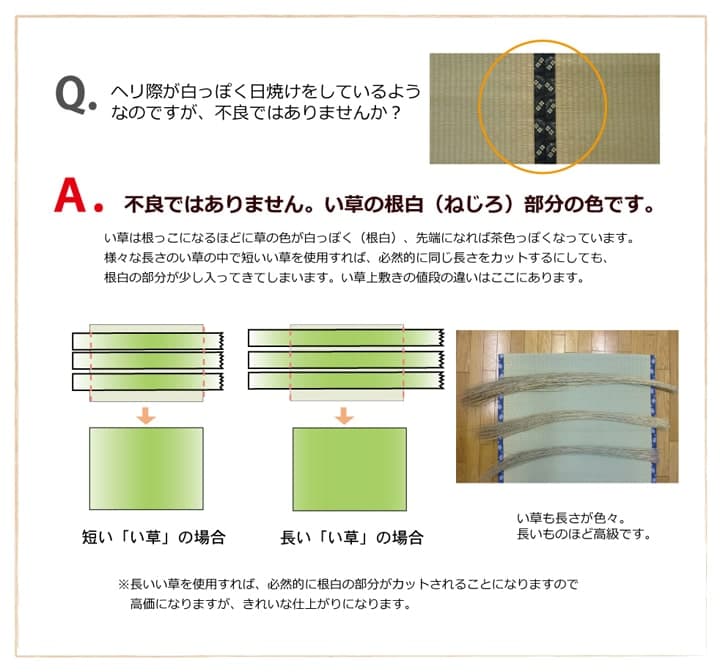 上敷 草津 352×352cm 江戸間8畳 | ネットキング インテリア館