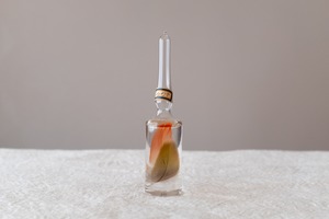 風の標本 S - ゴシキセイガイインコの羽