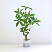 パキラ フェイクグリーン 造花  鉢植え  インテリア 約H60cm