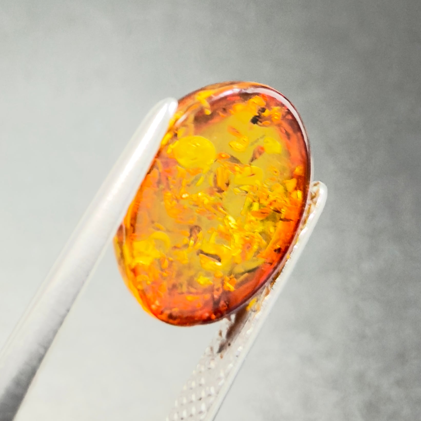 琥珀　レア品　ポーランド 琥珀】 ルース ポーランド産 1.47ct | たからいしルース オンライン