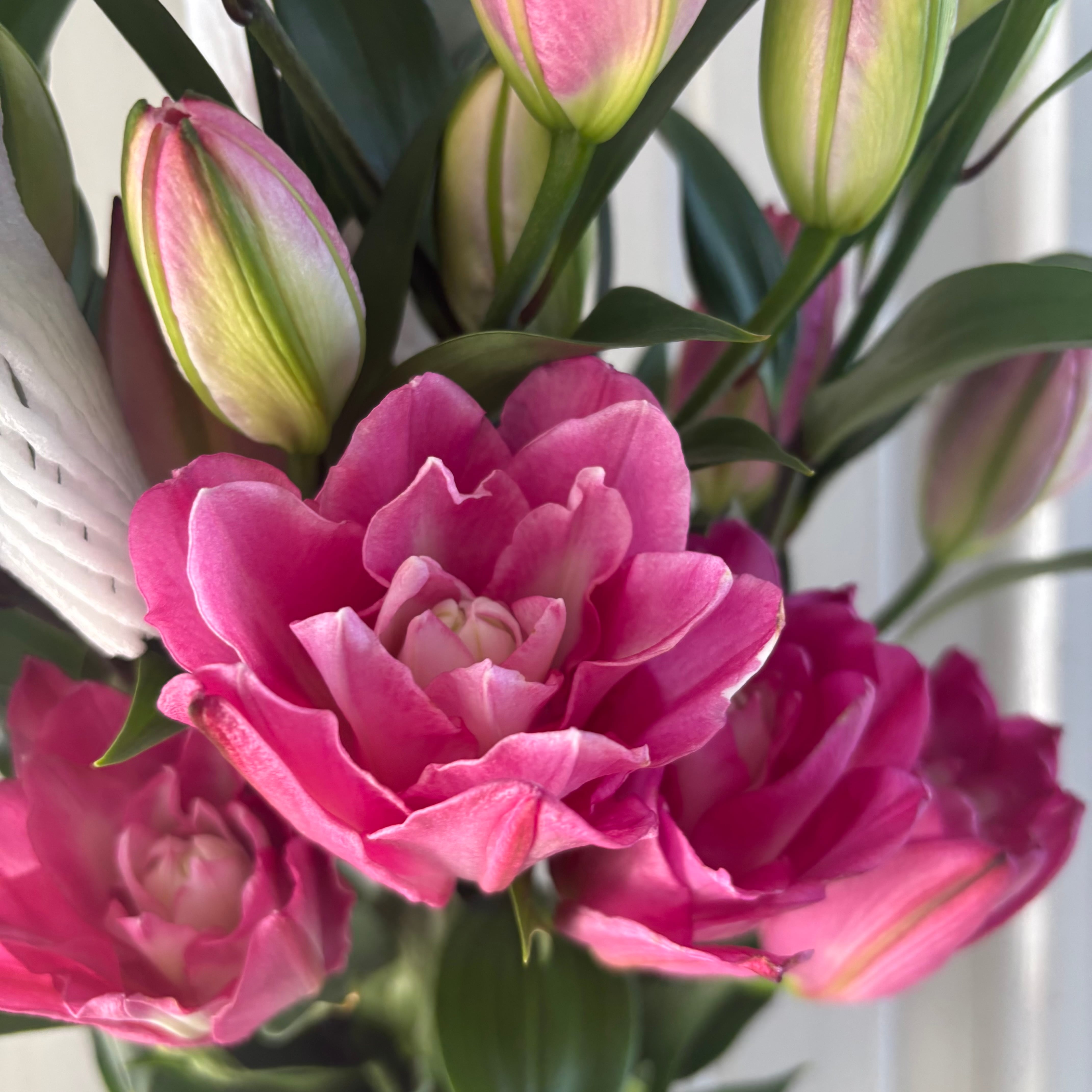 ピンク | 新鮮お花問屋 Jp-Farmers.com