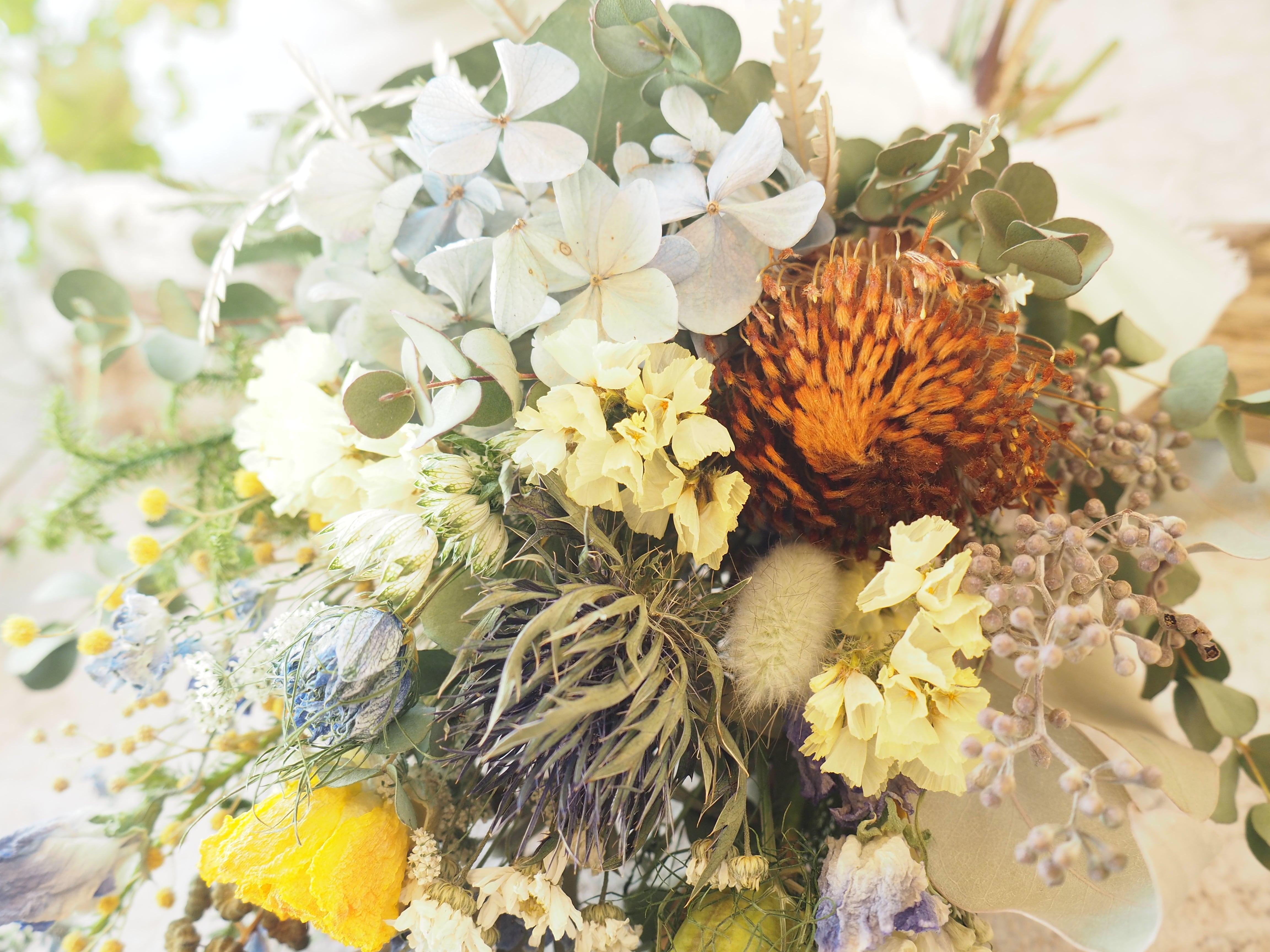キュートな黄色い瀬戸内ミモザをユーカリと束ねたミモザ　スワッグ  ドライフラワー ドライフラワー スワッグ イエロー ミモザ風 キュートな黄色い瀬戸内