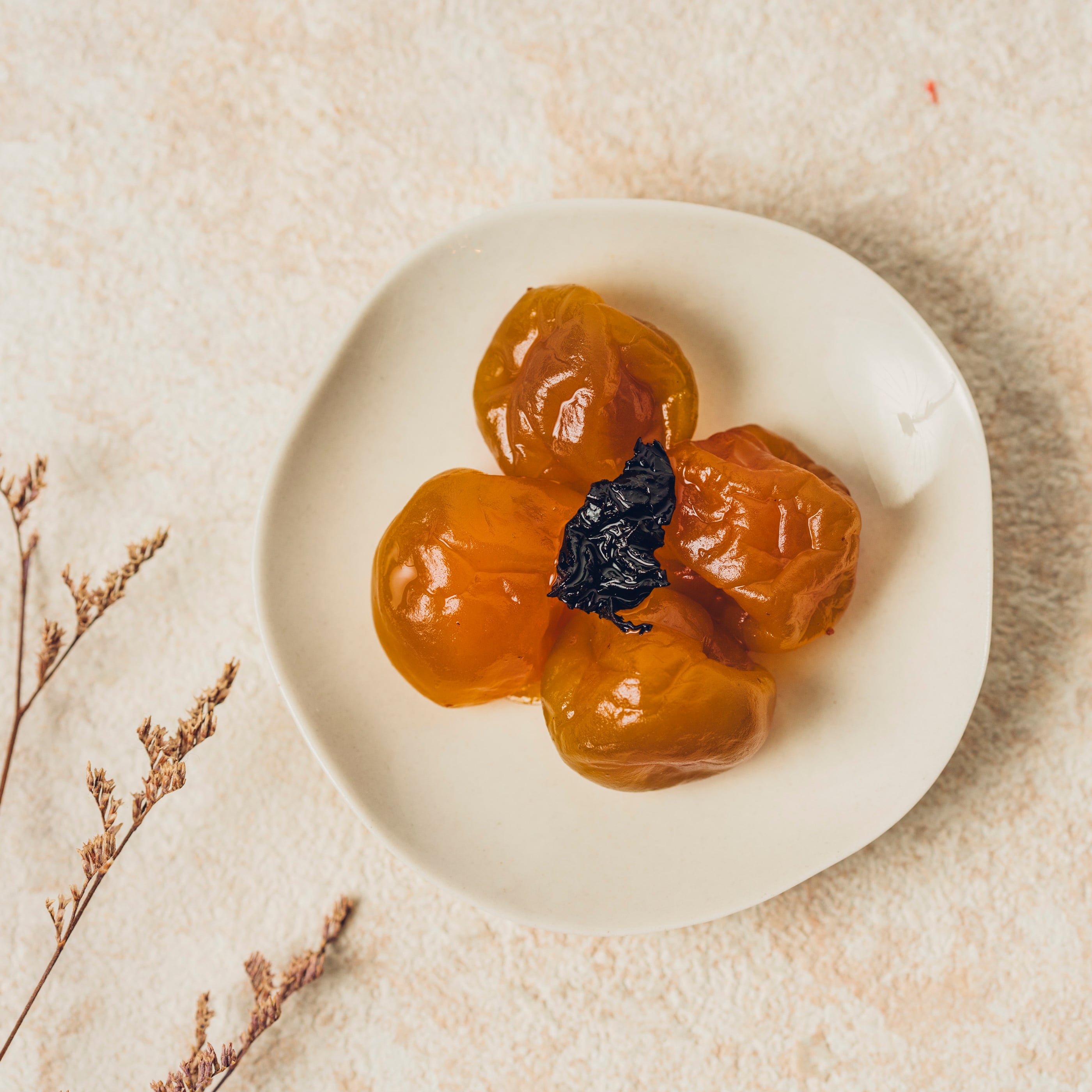 凍頂茶梅 | 茶苑CHA-EN