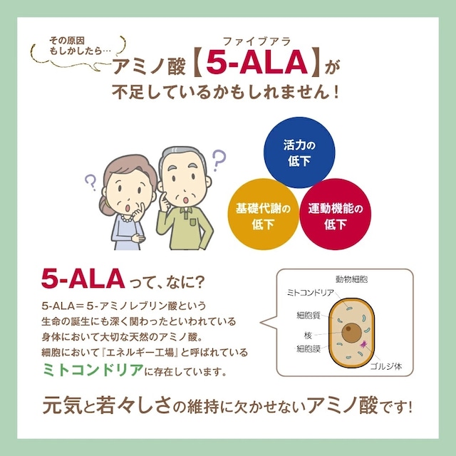 5-ALA 50mg 60粒 60日分（日本製）