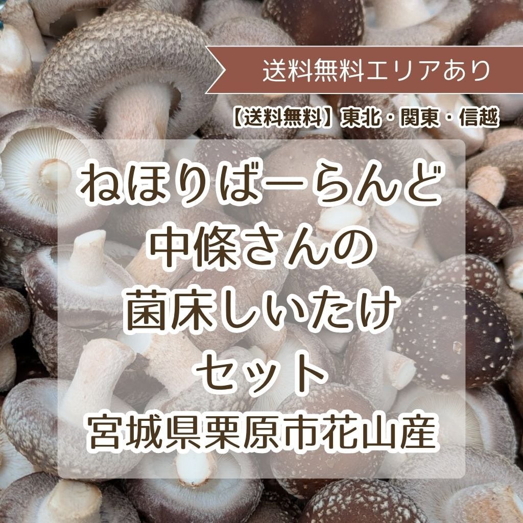 52279fc7f450eeea739392c82a4c28