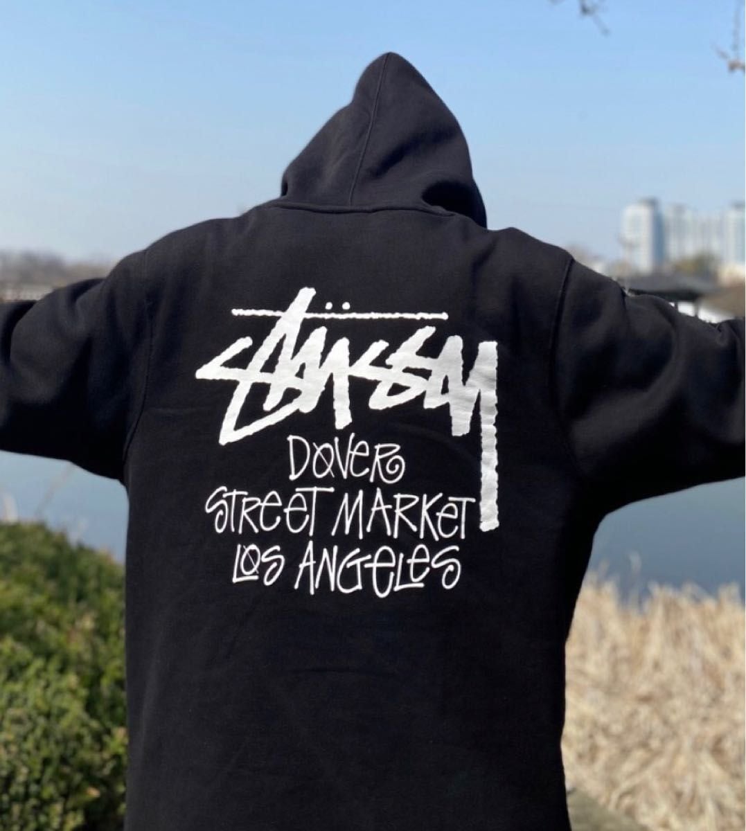 STUSSY ステューシー STOCK DSM LA パーカー | street＊style